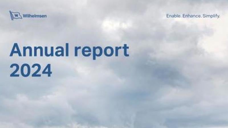 annual_report_2024_preview